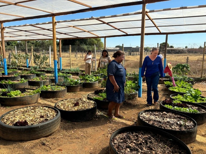 Sinop:Projeto Horta Comunitária começa a ser implantado no Centro de Convivência