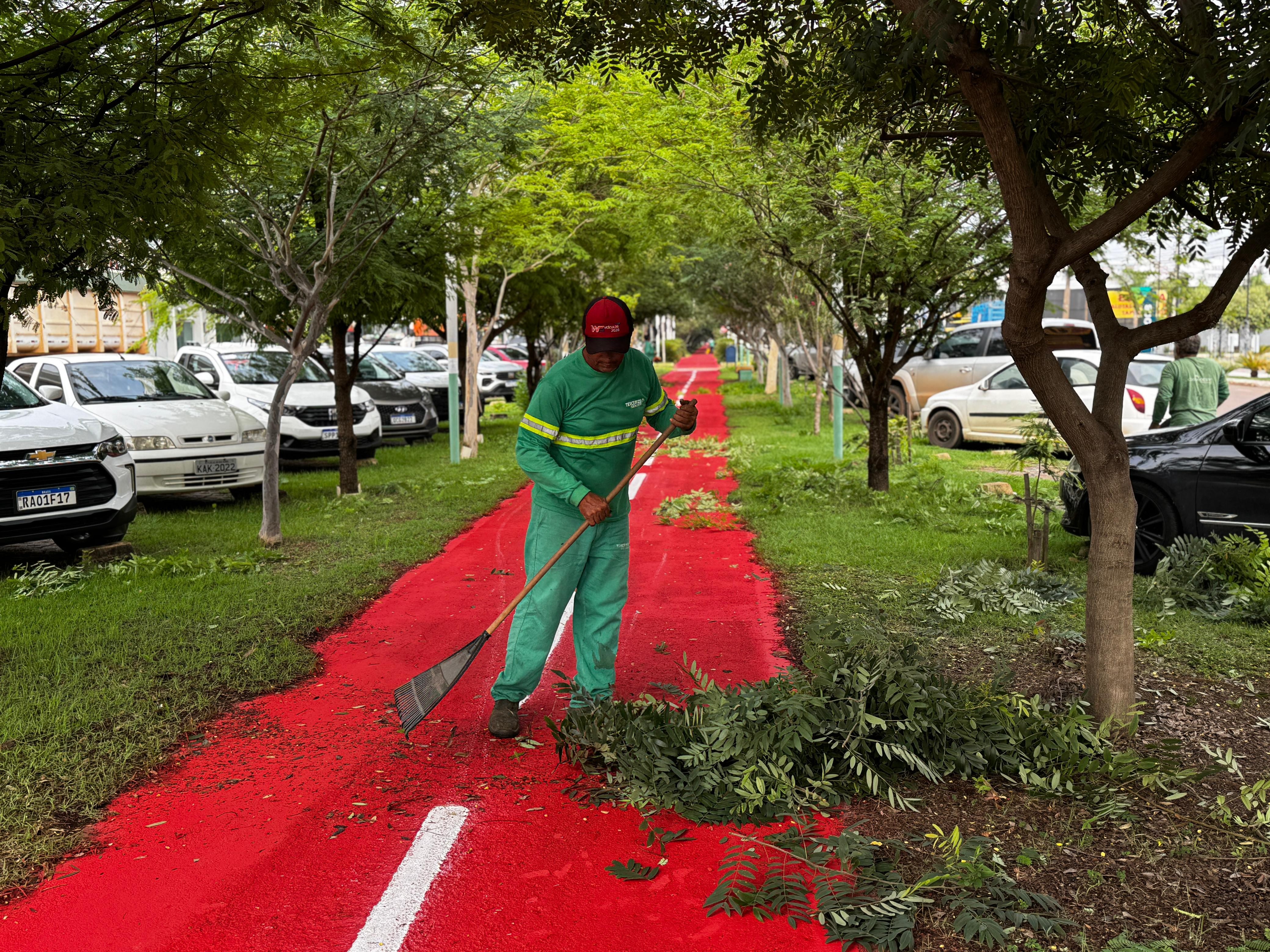 Secretaria de obras intensifica limpeza de avenidas com corte de grama e poda de árvores