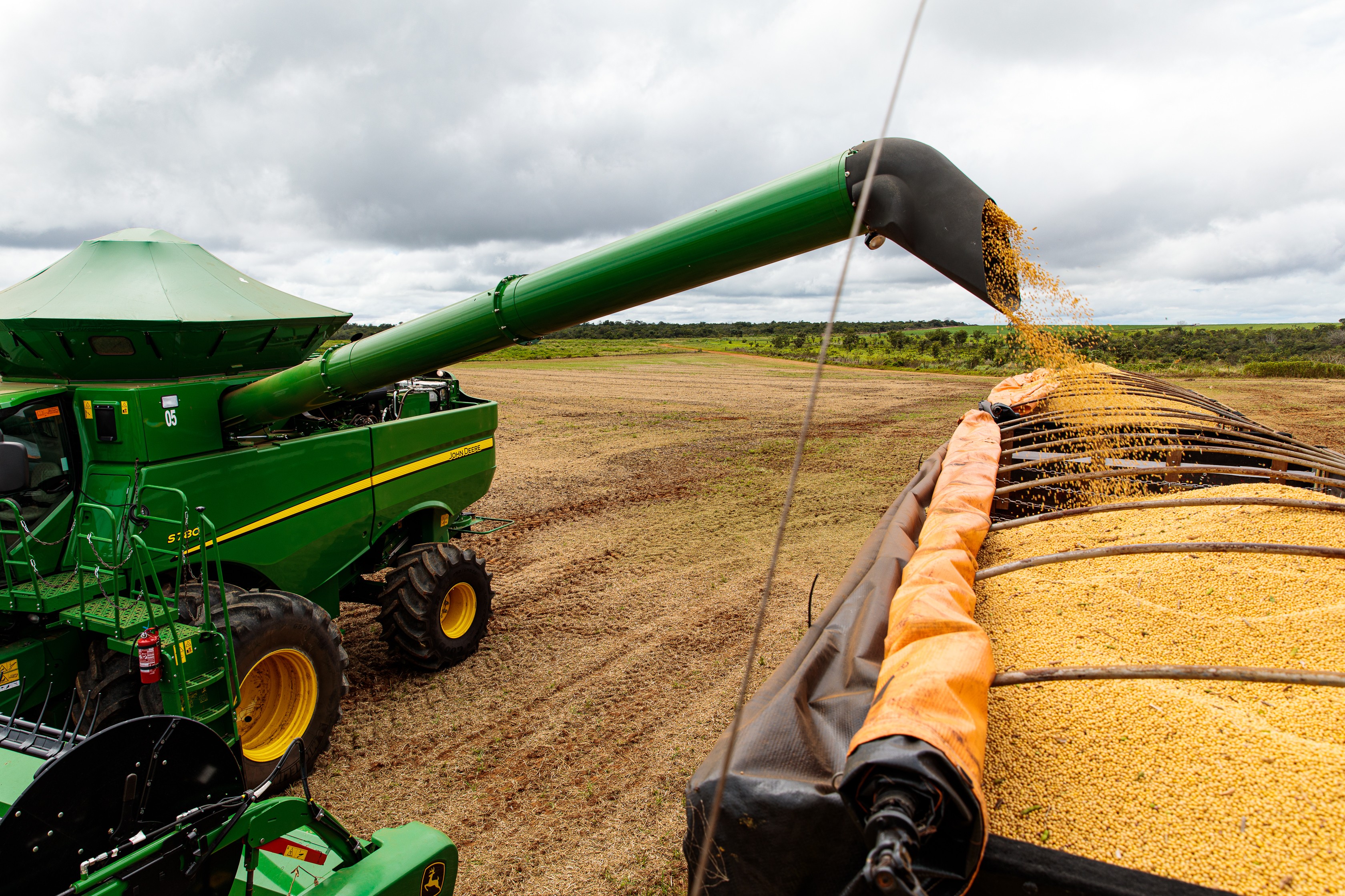 Mato Grosso é responsável por um terço da produção da safra de grãos brasileira