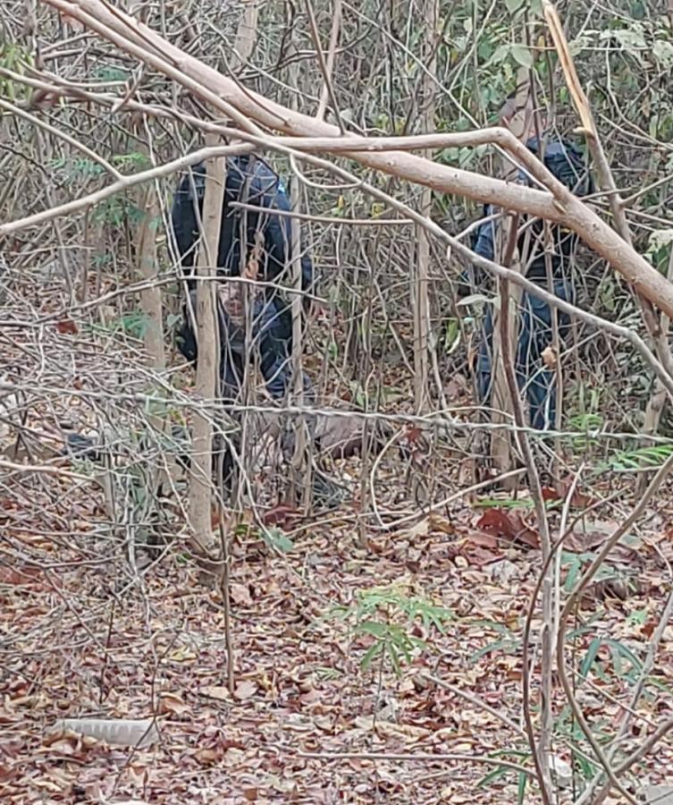 Corpo de homem é achado em matagal do interior de MT